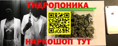 spice Рязань