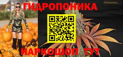 spice Рязань