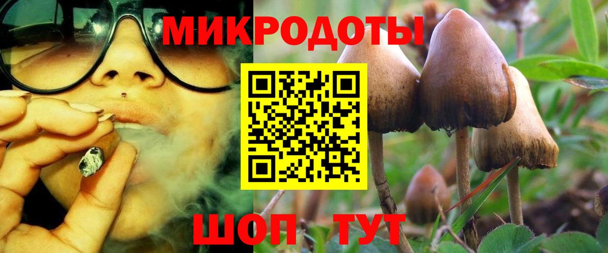 Галлюциногенные грибы Magic Shrooms Советская Гавань
