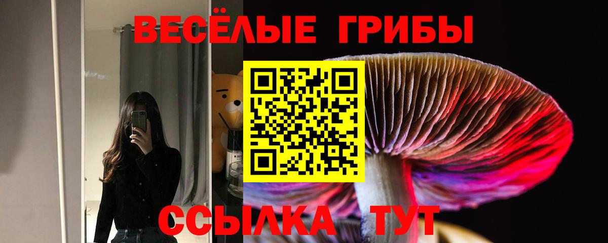 Псилоцибиновые грибы GOLDEN TEACHER  Вход с VPN  Советская Гавань  Псилоцибиновые грибы ЛСД 